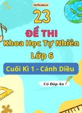 Tổng hợp 23 Đề thi KHTN 6 cuối Kì 1 Cánh Diều (Kèm đáp án)